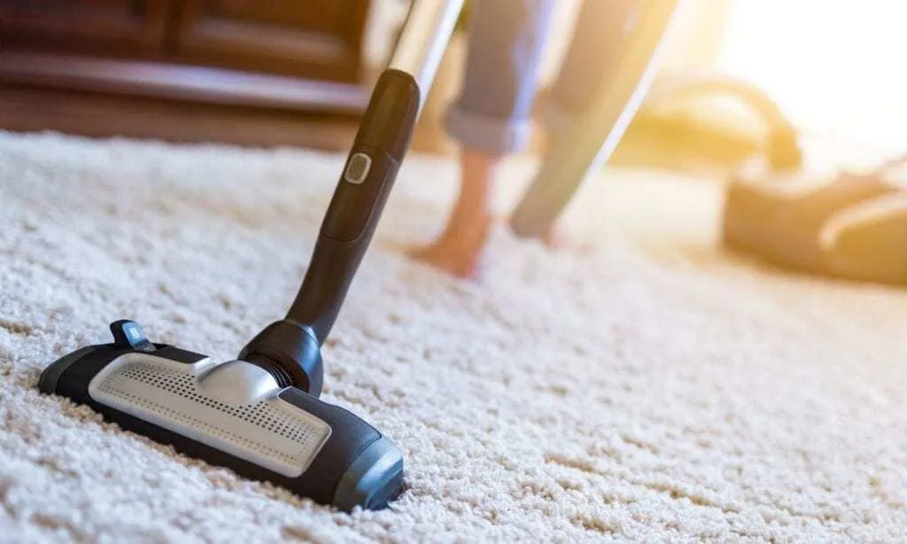Best Vacuum for Wool Carpets
